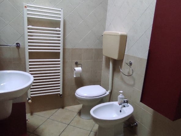 1769075501664_1170x527